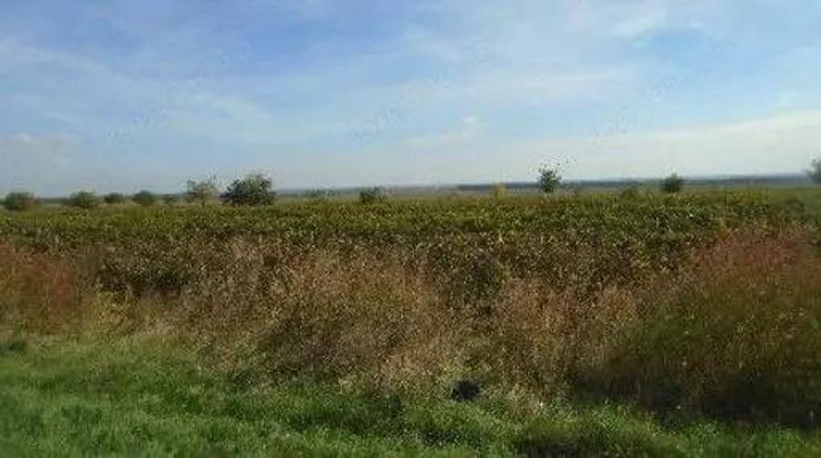 Teren extravilan Obrejita, ID: R2832813 - 6