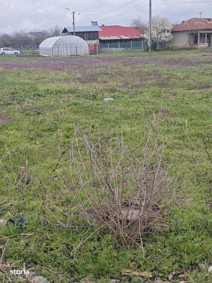 teren intravilan comuna daia - 3