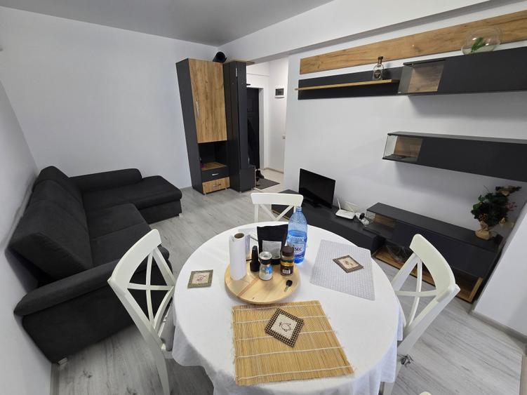 Inchiriere Apartament 2 Camere  Pollux Residence - 4