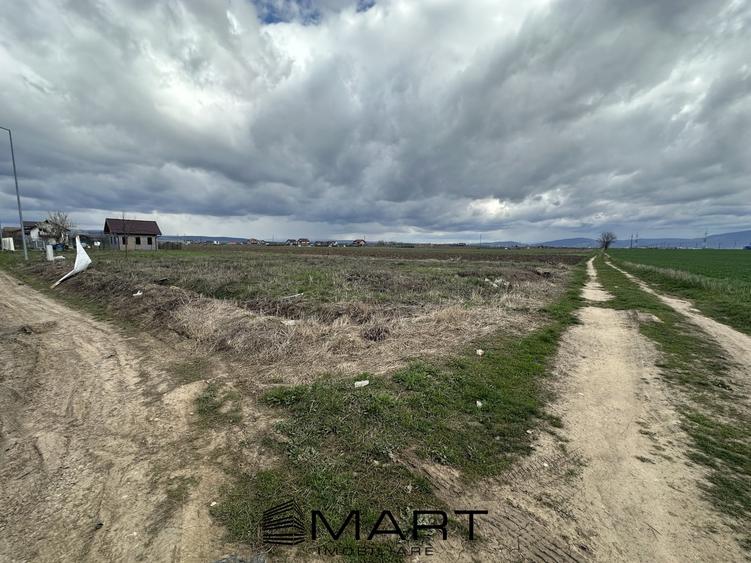 Teren intravilan 520 mp Harman - 1
