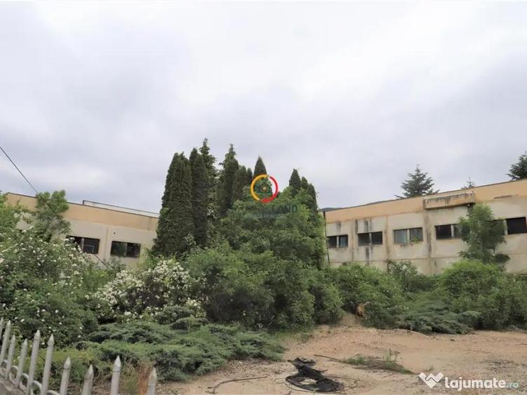 Oportunitate de investitie - 6