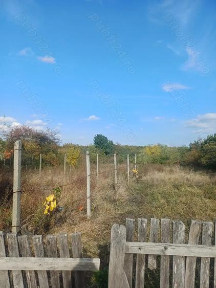 Vand casa comuna Cocu,sat Crucisoara - 5