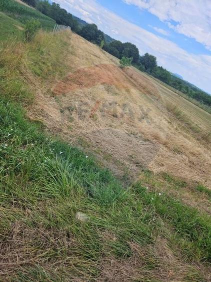 Teren 1,945mp Sarasau / Drumul PRINCIPAL - 3