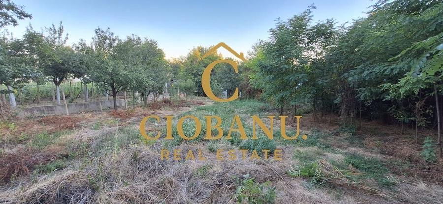 Teren cu casa batraneasca de vanzare in comuna Jugureni judet Prahova - 15