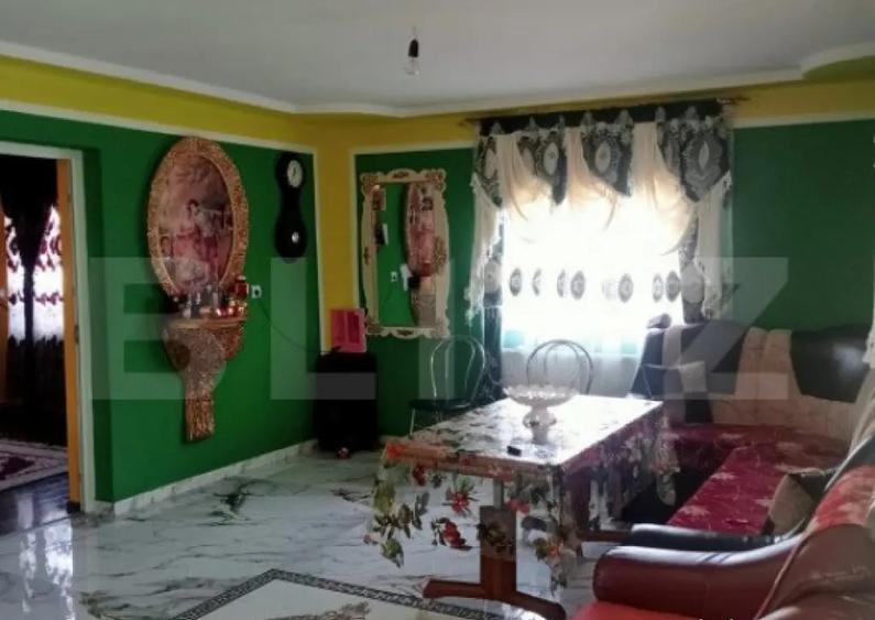 Casa spatioasa in Sanmihaiu de Campie - 3