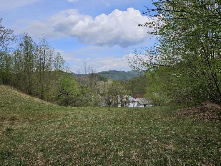 Teren intravilan 1454 mp la marginea padurii zona locuita de case! - 2