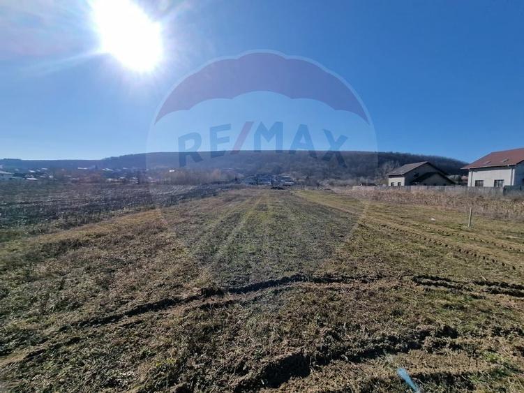 Teren Intravilan de Vânzare în Hemeiuș - 5