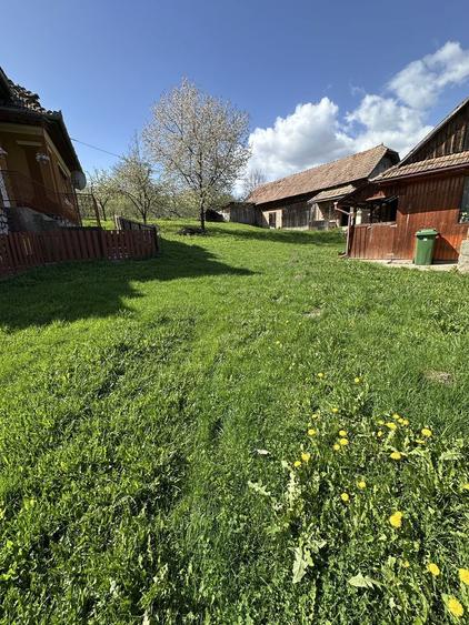 Vand casa la Cacova Ierii - 5