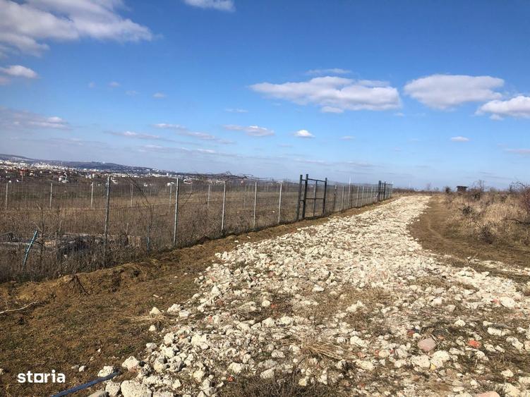 Teren intravilan Bucium 1000 mp, dealul Craitelor - 5