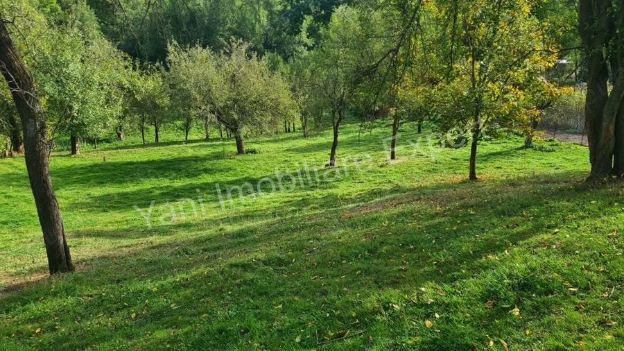 Teren de vanzare in comuna Arefu, sat Arefu, jude? Arge?. - 7