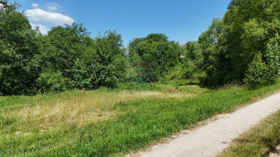 Comision 0% | Teren intravilan 1.890 mp | Bran | Zona Valea Portii - 4