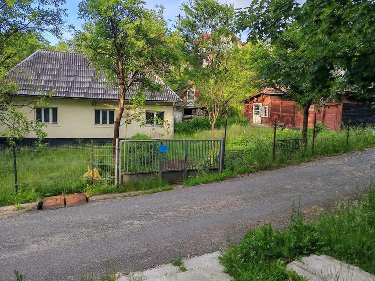 Teren intravilan si gospodarie batraneasca in Cavnic - 3