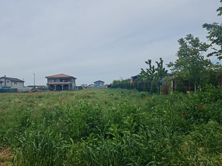 Vanzari terenuri in Cumpana lot de casa - 5