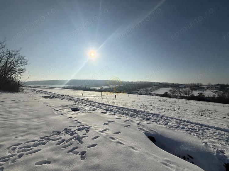 De vanzare Teren Intravilan Viile Satu Mare 1439 MP/ZONA FOARTE BUNA - 3