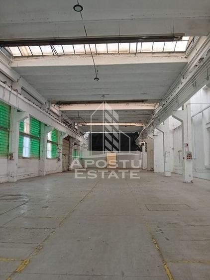 Hala Industriala, Sanicolau Mic - 1