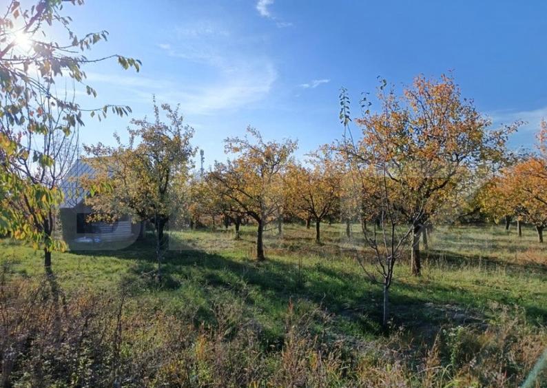 Teren Intravilan 6300 mp Magurele Prahova , Oportunitate ! - 5