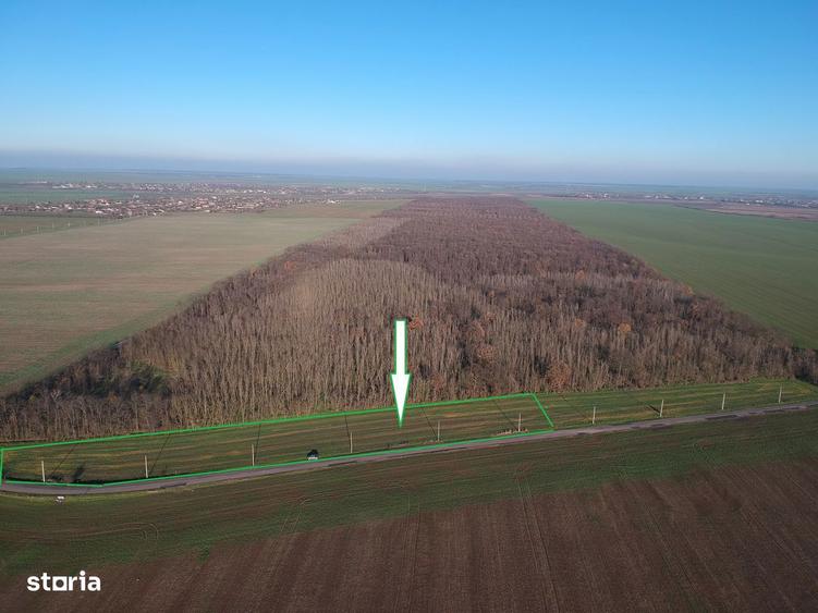 Teren pozitie superba, lipit de padure, intravilan, zona Frumusani. - 5