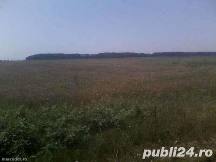 Vand teren 12200 mp, , gazeelectricitate. 22000 deEuro/teren, - 1