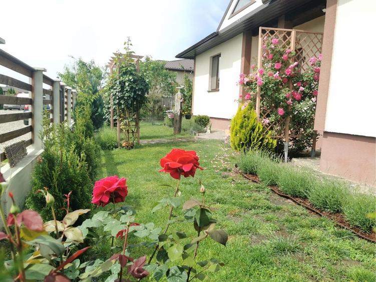 Casa parter sat Miroslava - 4