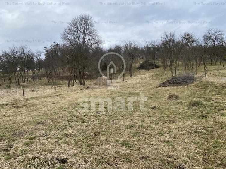 Teren intravilan cu CF 5400mp front 17 Savadisla jud Cluj - 14