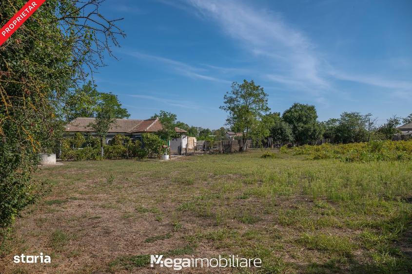 #Strada asfaltata: O oaza de lini?te la doar 20 minute de Constan?a - 5