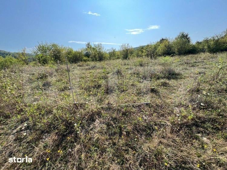 Teren extravilan, 15 arii, pretabil pentru investitii, construibil - 6
