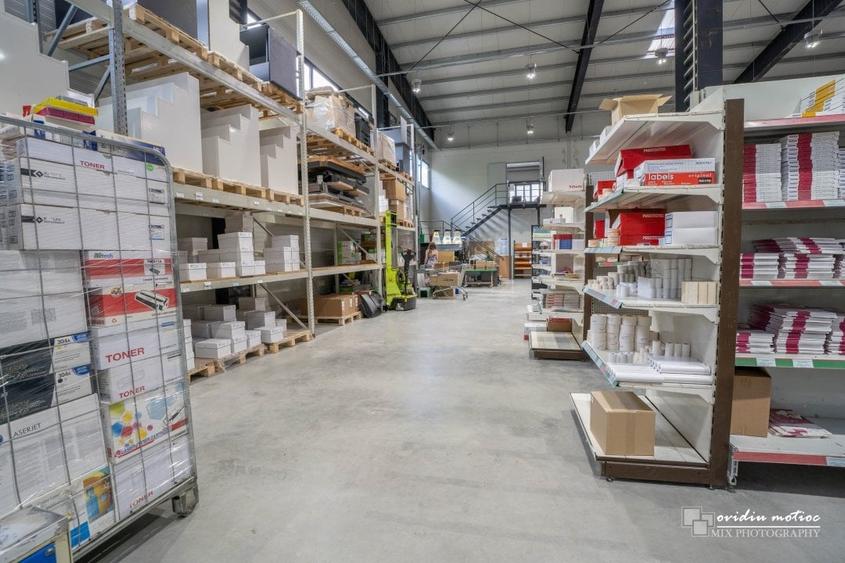 Hale in parcul Tetarom I - 4