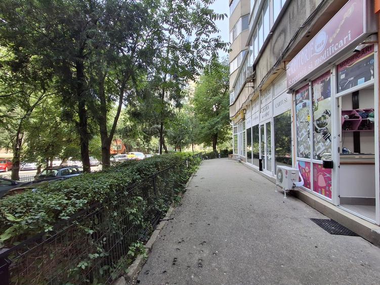 Tineretului -C-tin Radulescu Motru suorafata 37 mp-pret 1000 euro - 5