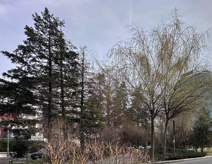 Primaverii.Imobil D+P+3 E,780mp. - 3