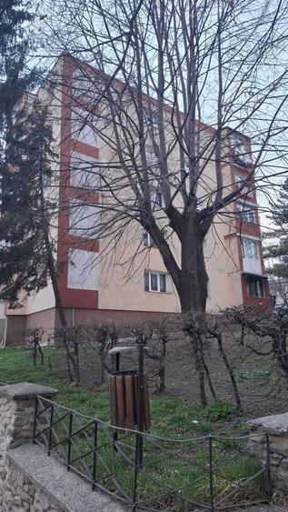 Apartament 3 camere Siret - 1