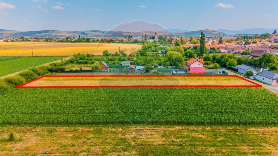 COMISION 0% | Teren intravilan | Bod, strada Avram Iancu - 3