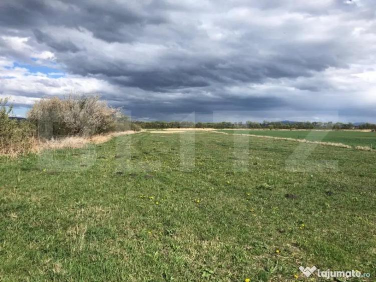 De vanzare teren extravilan 50.000 mp - 1