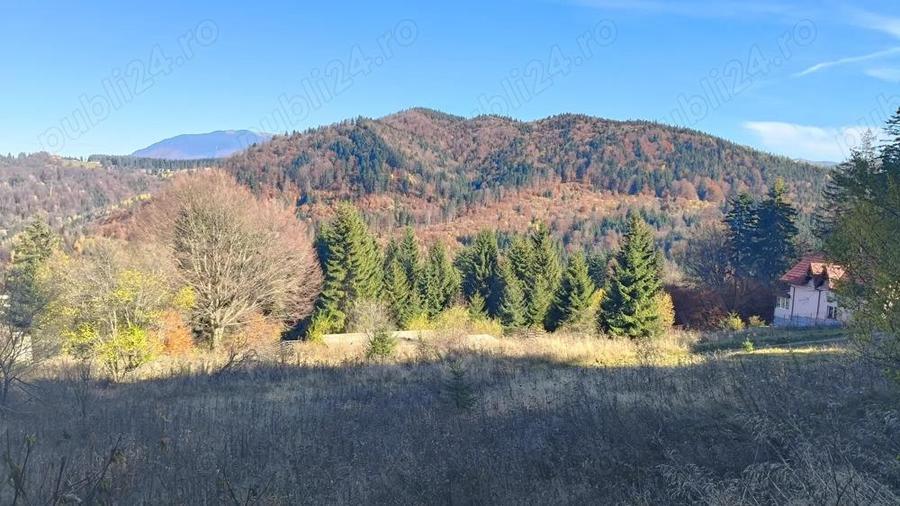 Teren intravilan situat in Predeal-Paraul Rece - 5