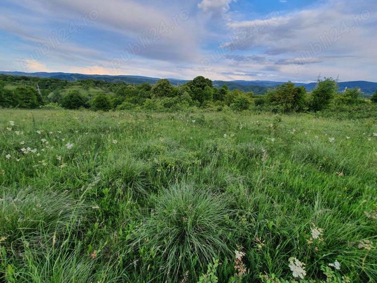 Teren Resita 4350 mp centura Resitei Terova-km 8 negociabil - 6