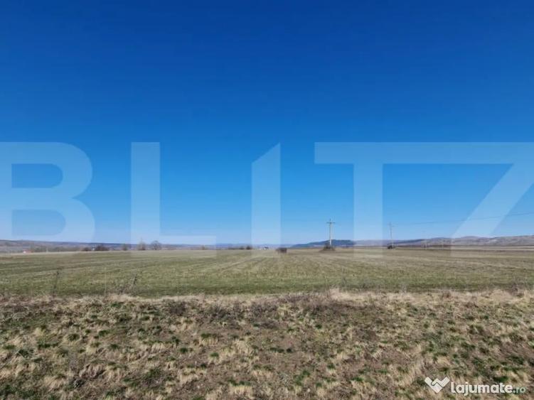 Teren intravilan, 29.000mp, front 102mp, utilitati in zona, - 3