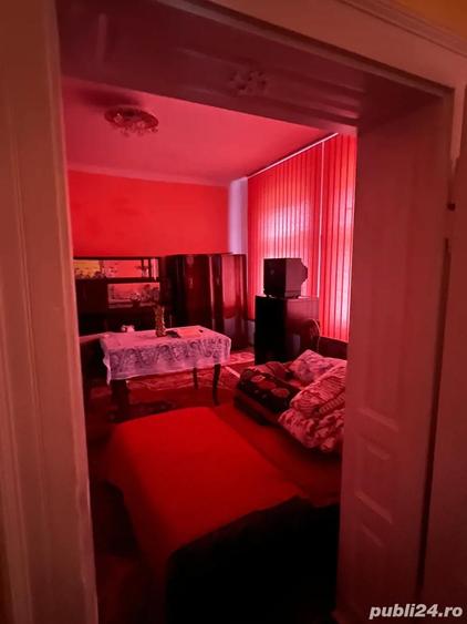 Casa individuala 5 camere 1439mp , curte, mobilata , Sintesti Timis - 6