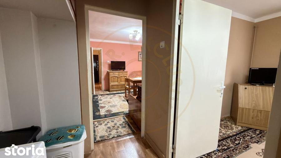 Apartament 2 camere Zona Penny Etaj II, Ignisului 28 - Carei - - 6