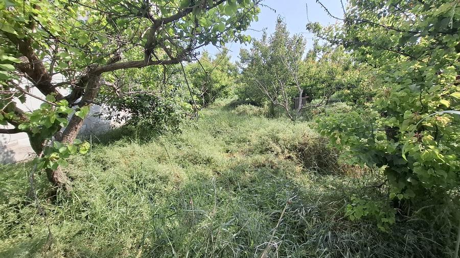 Kamsas - teren 1150 mp cu deschidere 30 ml - 1