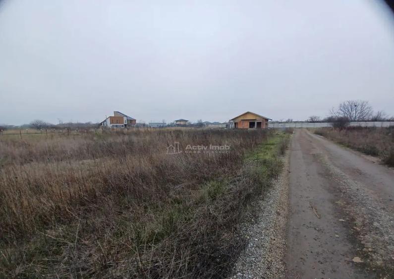 Teren Corbeanca- Balotesti Strada Trei Lacuri - 6