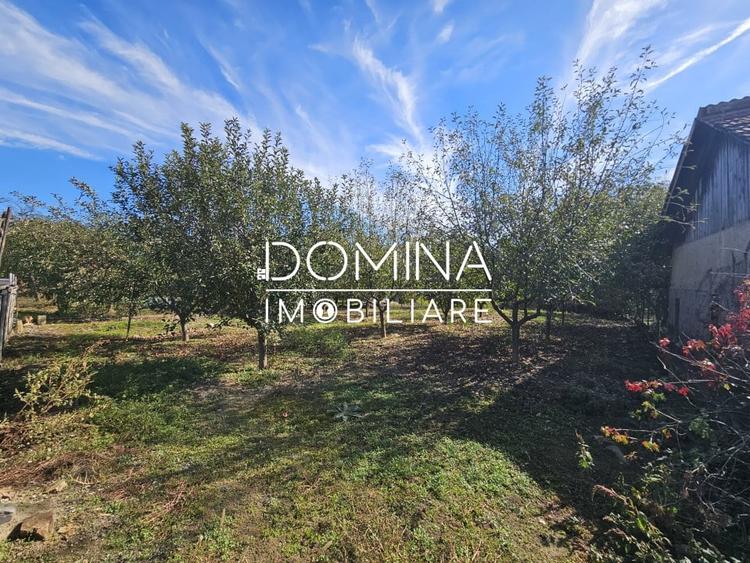 Vanzare teren *intravilan 308 mp cu utilitati* - Sat Ceauru, Comuna Balesti - 2