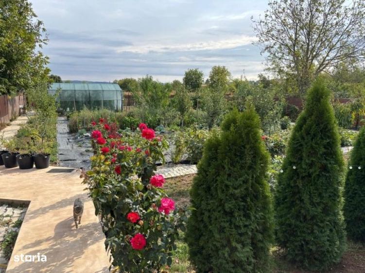 Casa, 5 camere, constructie 2022, teren 1000mp, Mehedinta, 220.000euro - 10