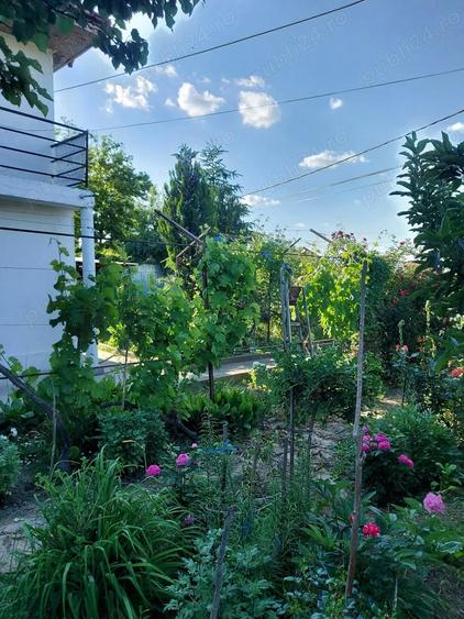 Casa Cataloi in zona reziden?iala 2000mp - 2