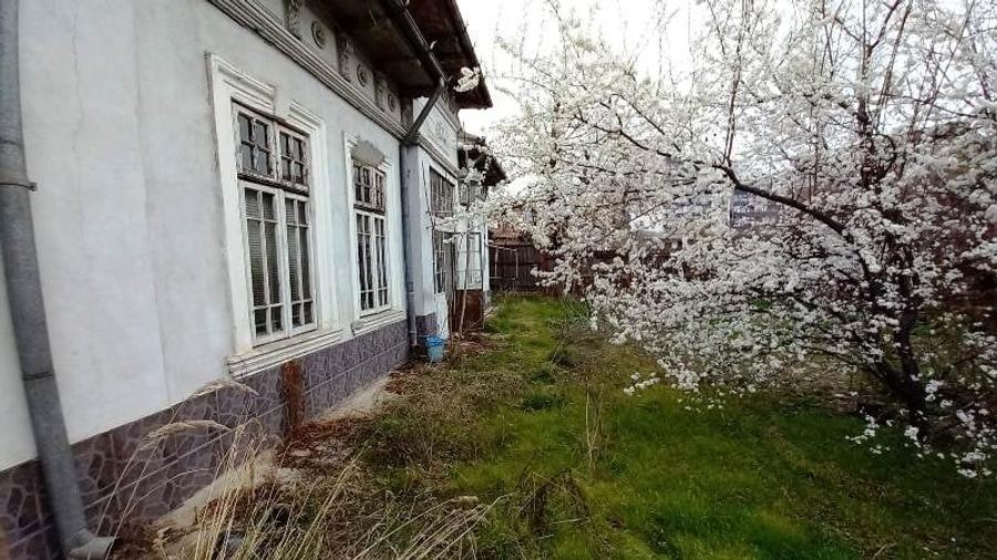 Vitan(Strada Foisorului),1428 mp - 5