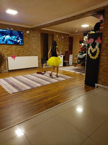 Casa de vanzare mitreni judetul Calarasi - 6