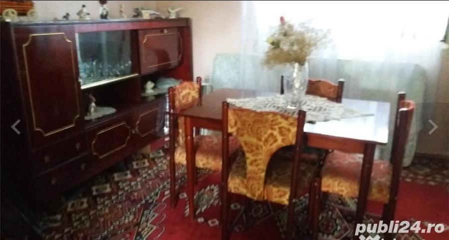 Casa Faget Timis - 4