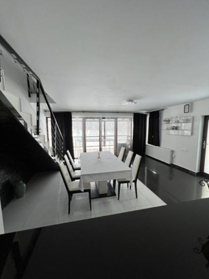 LAC MOGOSA, vila D+P+E+M cu 3ari teren! - 21