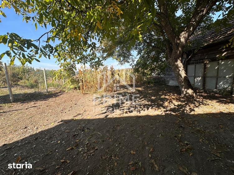 Casă cu 3 camere cu Teren 1900 Mp în Central