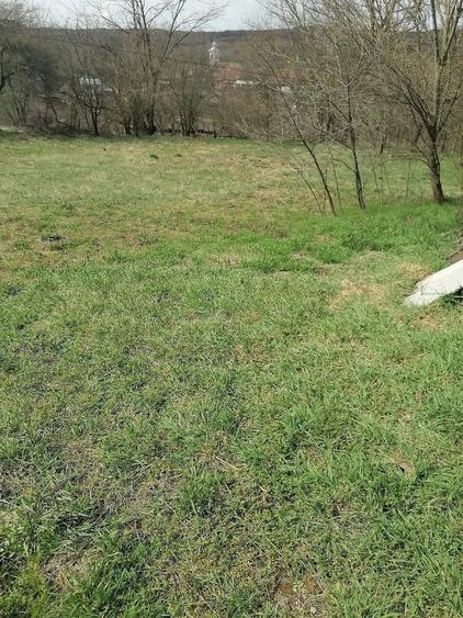 Casă cu 3 camere cu Teren 1300 Mp în Ohaba