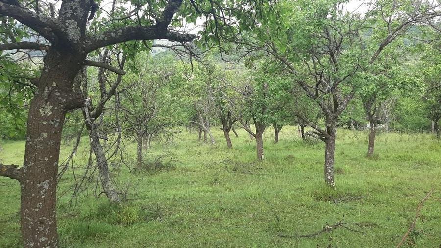Teren de 4100 mp, în Rușavăț