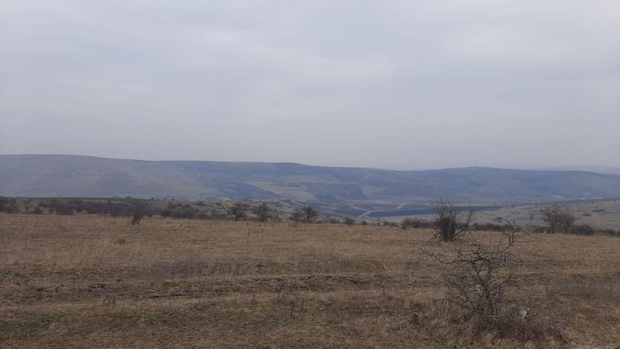 Teren agricol extravilan de 119500 mp, în Iris